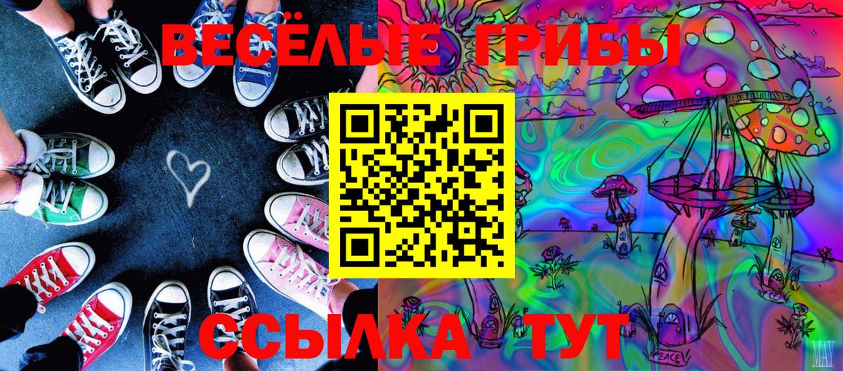 Красноярск  Псилоцибиновые грибы MAGIC MUSHROOMS  Вход с VPN 